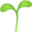 🌱
