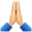 🙏🏻