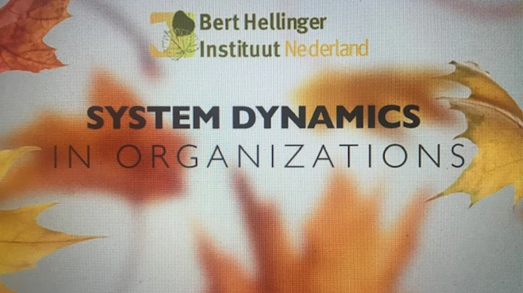 System dynamics in organizations